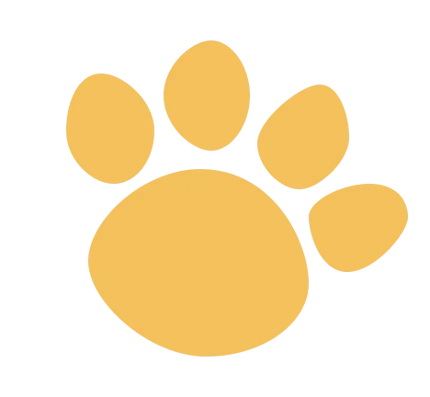 Petlumin