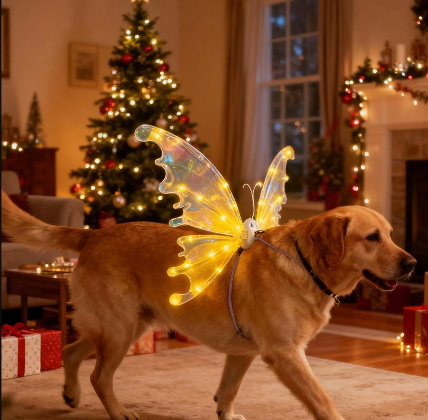 Petlumins™ Electric Butterfly Wings Luminous Toy