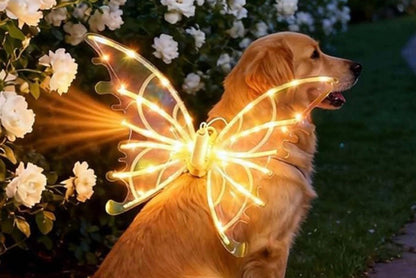 Petlumins™ Electric Butterfly Wings Luminous Toy