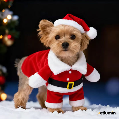 Petlumins™ Christmas Santa Pet Costume