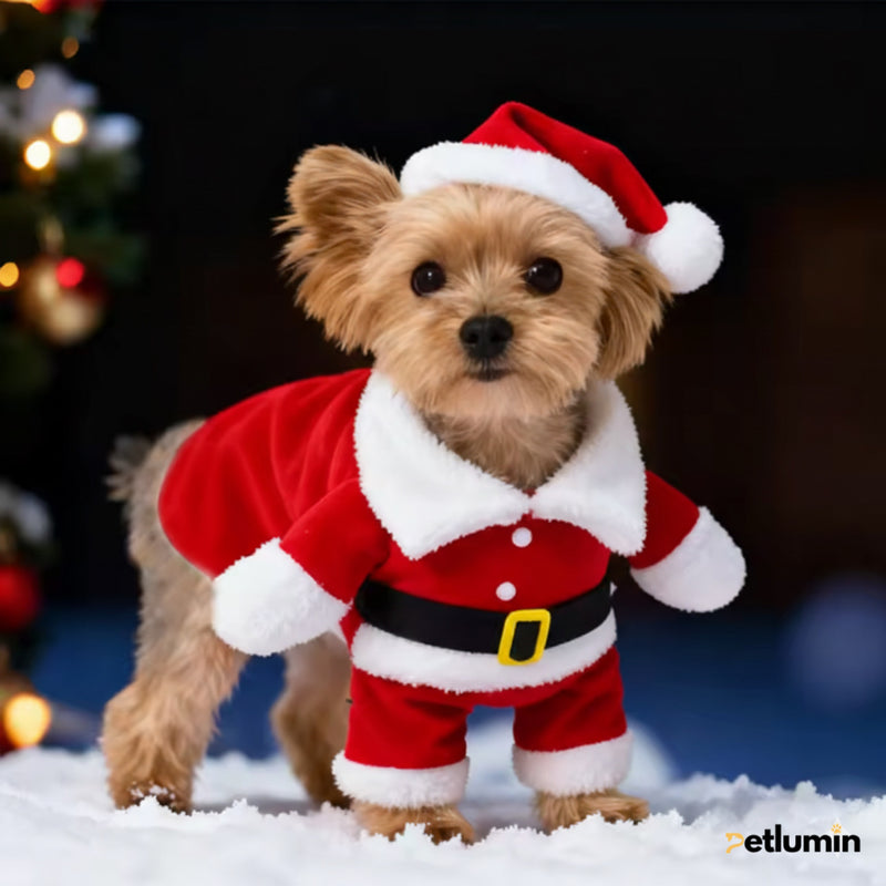 Petlumins™ Christmas Santa Pet Costume