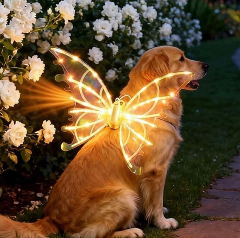 Petlumins™ Electric Butterfly Wings Luminous Toy