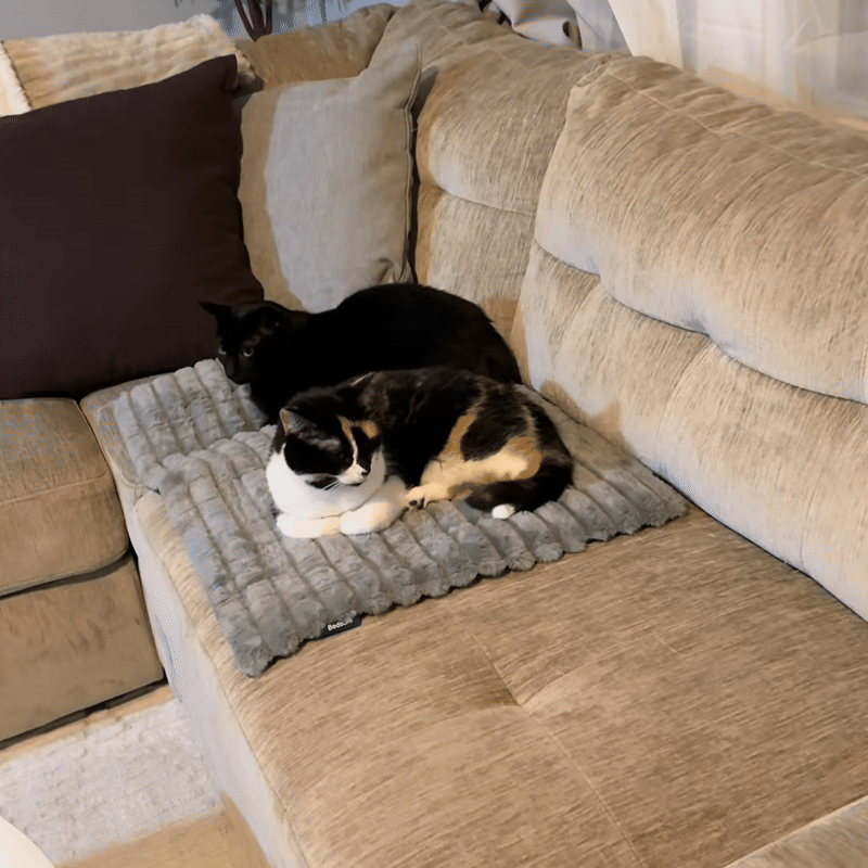 Cozy Comfort for Every Nap: Warmth Your Pet Deserves